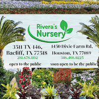 Rivera's Wholesale Nursery logo