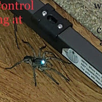 Adam's Pest Control logo