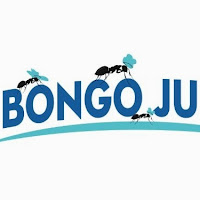 Bongo Junko - Junk Removal Spring logo