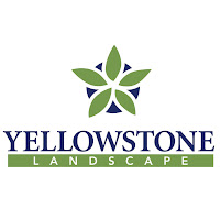 Yellowstone Landscape logo