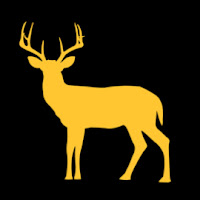Buck Waste logo