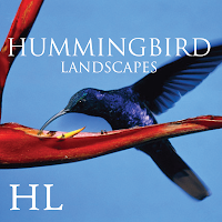 Hummingbird Landscapes logo