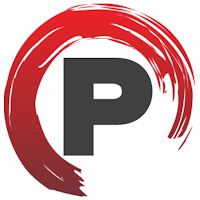 Professional Real Estate Inspection Services PLLC logo