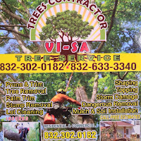 vi-sa tree service logo