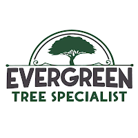 Evergreen tree Specialist logo