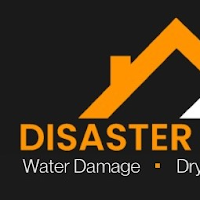 Disaster Masters SW logo