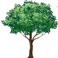 Valerio's Tree Service & More logo